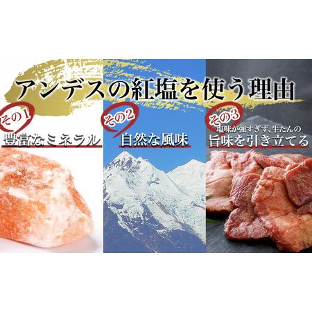 ふるさと納税 牛タン 仙台名物！ 厚切り 牛たん400g（塩仕込み200g×2P） 牛タン 【04209-0004】 牛タン たん元 牛タン たん中 牛タン 焼.. 宮城県多賀城市｜furunavi｜05