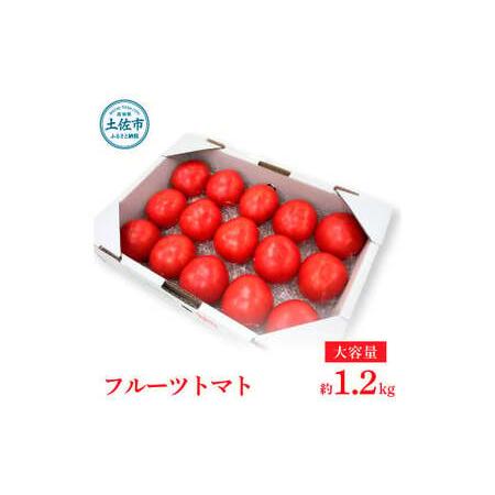 ふるさと納税 [先行予約]お徳用フルーツトマトLサイズ 1.2kg 約15玉 Lサイズ[2027年1月〜発送] / 糖度8度以上 フルーツトマト ふるーつとま.. 高知県土佐市