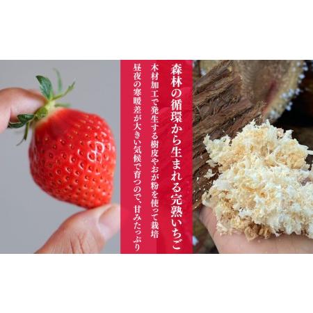 ふるさと納税 完熟いちご狩り ペア招待券＋施設利用券 ＋お土産付き