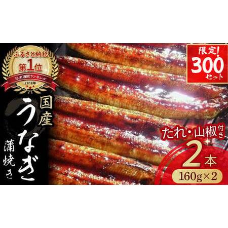 ふるさと納税 ≪限定300セット≫うなぎ蒲焼き[160g×2本セット]/Esu-124 高知県四万十町