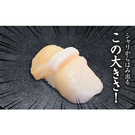 ふるさと納税 ほたて 貝柱 冷凍 大粒 冷凍 500ｇ(20〜25粒前後)×2パック お取り寄せ 刺身 《横田水産》 北海道浜頓別町｜furunavi｜02