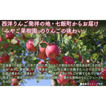 ふるさと納税 無添加 りんご果汁100% 1L×6本セット りんごジュース ストレート果汁 NAJ001 北海道七飯町_1
