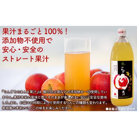 ふるさと納税 無添加 りんご果汁100% 1L×6本セット りんごジュース ストレート果汁 NAJ001 北海道七飯町_2