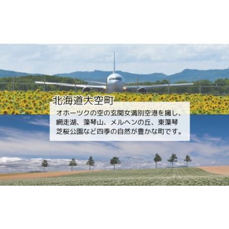 ふるさと納税 【先行予約】レタス彩(いろどり)3種セット・しじ美ドレッシング付（2026年9月以降順次発送） OSU001 北海道大空町_1