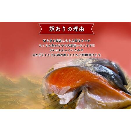ふるさと納税 【訳あり】人気海鮮お礼品 銀鮭カマ 約3kg_鮭 さけ ふるさと納税 【訳あり】人気海鮮お礼品 銀鮭カマ 約3kg_鮭 さけ