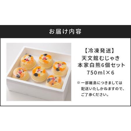 ふるさと納税 アイス 本家 白熊 6個 セット 【 天文館むじゃき 白くま 】 K009-001 冷凍 鹿児島県鹿児島市_4