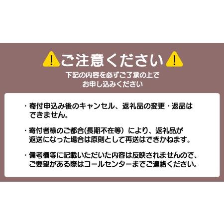 ふるさと納税 【定期便6ヶ月】自家焙煎珈琲 モカ ゲイシャ（豆） 300g 北海道中頓別町 300g
