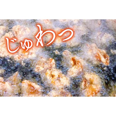 ふるさと納税 C-1062 ハジメのからあげ 秘伝ダレの下味付き鶏モモ肉（300g×20袋） 島根県益田市の画像