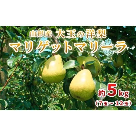 ふるさと納税 大玉の洋梨 マリゲットマリーラ 秀品 約5kg(7玉 ふるさと納税 大玉の洋梨 マリゲットマリーラ 秀品 約5kg(7玉