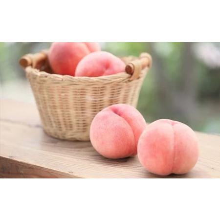 ふるさと納税 山形産 白桃 秀 3kg(8玉〜14玉)【令和8年産先行予約】FU23-315 くだもの 果物 フルーツ 山形 山形県 山形市 2026年産 山形県山形市の画像