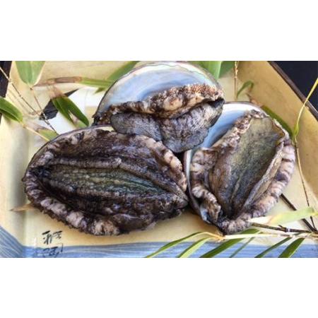ふるさと納税 老舗料理屋がお届けする【国産】鮑(あわび)の柔らか煮 2個入り / 鮑(あわびアワビ)の柔らか煮 国産鮑(あわびアワビ)の柔らか煮 貝.. 大阪府貝塚市 ふるさと納税 老舗料理屋がお届けする【国産】鮑(あわび)の柔らか煮 2個入り / 鮑(あわびアワビ)の柔らか煮 国産鮑(あわびアワビ)の柔らか煮 貝.. 大阪府貝塚市