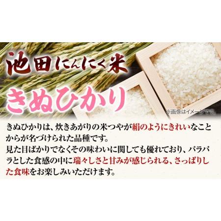 ふるさと納税 令和5年産 池田にんにく米 10kg (5kg×2袋) (紀の川市産きぬひかり) 上野商店 《60日以内に出荷予定(土日祝除く)》和歌山.. 和歌山県紀の川市｜furunavi｜04