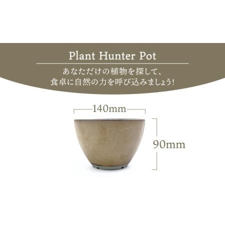 ふるさと納税 【美濃焼】ブリンブリン Plant Hunter Pot【RYOTA AOKI POTTERY/青木良太】/ 陶芸家 プランター インテリア 雑貨 植木鉢 ゴールド .. 岐阜県土岐市｜furunavi｜03