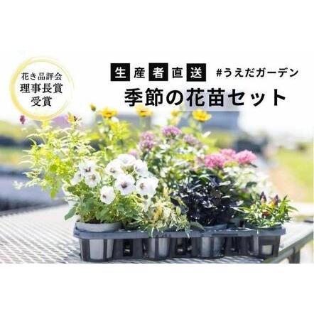ふるさと納税 季節の花苗セット 兵庫県稲美町 Belle Ile Nature Org