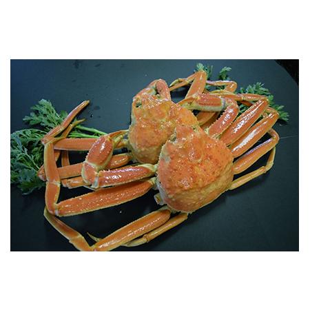 めめめめ ふるさと納税 C24-047 茹で 松葉かに（足欠け）中サイズ 2尾入【期間