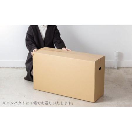 ふるさと納税 段ボール製おもちゃ 木馬「ダンバ」[OAN001] おもちゃ遊具 長崎県川棚町_1