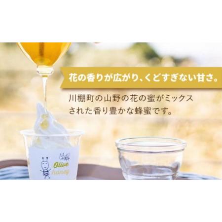 ふるさと納税 【3回定期便】百花蜜 国産天然はちみつ 200g × 3本〈嬉しい贈答箱入り！〉【オリーブハニー】[OCG006] 長崎県川棚町の画像