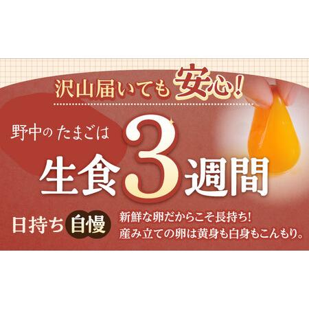ふるさと納税 【6回定期便】産みたて新鮮たまご 野中のたまご 80個[OAC008] 長崎県川棚町_1