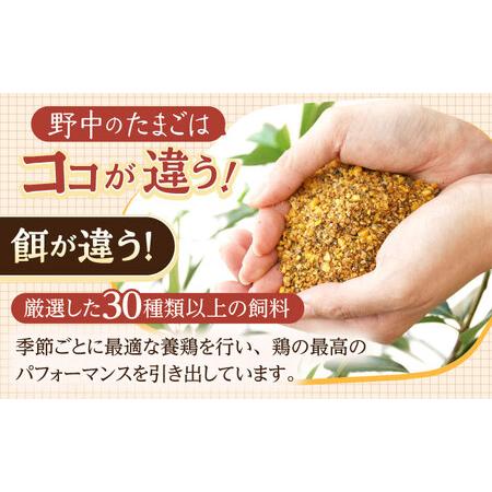 ふるさと納税 【6回定期便】産みたて新鮮たまご 野中のたまご 80個[OAC008] 長崎県川棚町_2