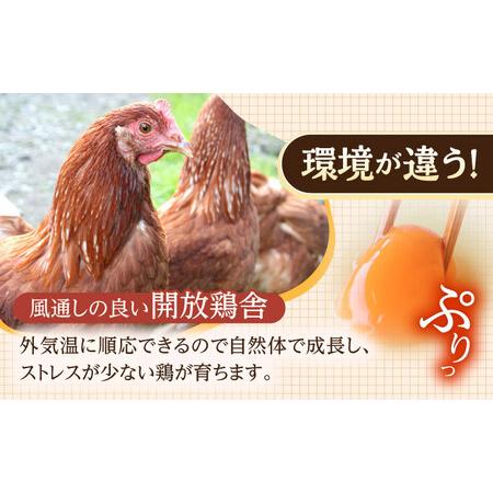 ふるさと納税 【6回定期便】産みたて新鮮たまご 野中のたまご 80個[OAC008] 長崎県川棚町_3