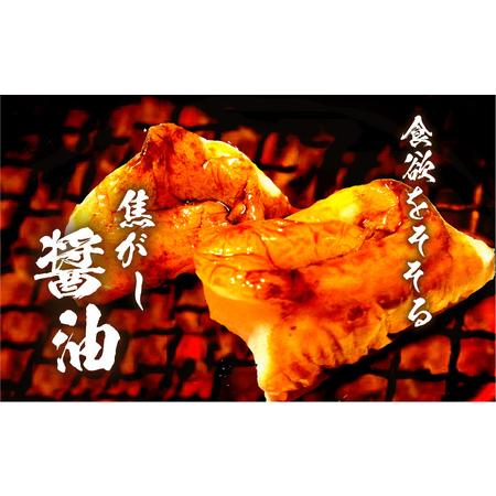 ふるさと納税 【5営業日以内に発送】ヒシク 藤安醸造 極あまくち専醤 K026-002 調味料 スピード配送 最短 すぐ届く お急ぎ 鹿児島県鹿児島市の画像