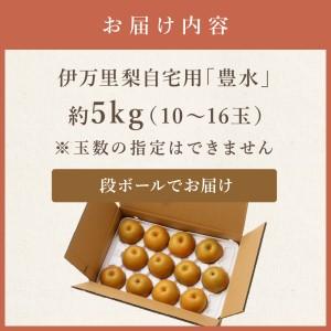 ふるさと納税 【令和6年産先行予約】伊万里梨 「豊水」 約5kg ご自宅用におすすめ B161 佐賀県伊万里市｜furunavi｜05