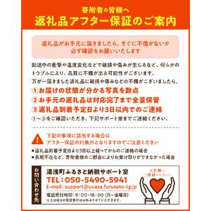 ふるさと納税 A6017_こい口醤油 1L×12本 セット【しょうゆ 濃口醤油 こいくち】 和歌山県湯浅町の画像