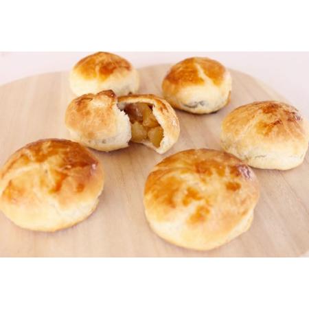 ふるさと納税 洋菓子 加積りんごパイ 10個入 焼き菓子 アップルパイ 個包装 スイーツ/昌栄堂/富山県 黒部市 お菓子 おやつ  富山県黒部市