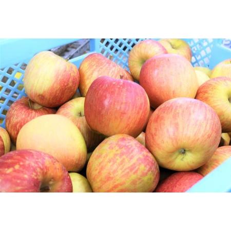 ふるさと納税 洋菓子 加積りんごパイ 10個入 焼き菓子 アップルパイ 個包装 スイーツ/昌栄堂/富山県 黒部市 お菓子 おやつ  富山県黒部市