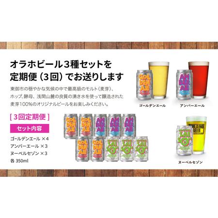 ふるさと納税 【3回定期便】オラホビール10本（3種合計10本）飲み比べクラフトビール 長野県東御市_1