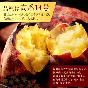 ふるさと納税 ＜2026年8月下旬以降発送・先行予約＞【訳あり】坂出金時いも 約5kg×2箱 2L〜Mサイズ | さつまいも サツマイモ 香川県坂出市の画像