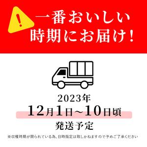 ふるさと納税 志賀高原の麓で育った サンふじ （家庭用）約10kg 【 りんご 10kg フルーツ 果物 デザート 長野 】 長野県山ノ内町｜furunavi｜05