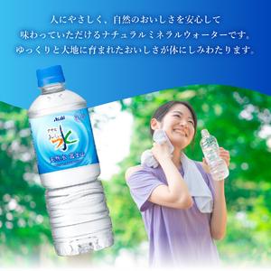 ふるさと納税 定期便 【3か月お届け】「アサヒおいしい水」天然水富士山 1箱(24本入）PET600ml 3回 ミネラルウォーター 毎月 飲料 山梨県富士吉田市の画像