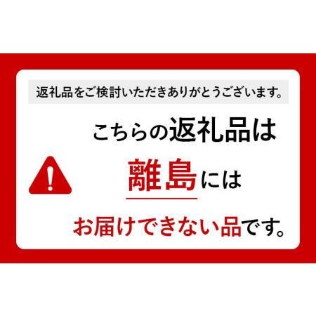 ふるさと納税 ニテコりんごサイダー 300ml×6本セット あきた美郷づくり 秋田県美郷町_2