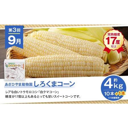 ふるさと納税 【先行予約】かに太郎がお届けする 2024年発送 定期便Aセット（2024年7月頃より合計4回）_01193 北海道旭川市｜furunavi｜05