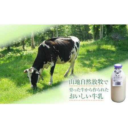 ふるさと納税 【3ヶ月定期便】斉藤牧場の山地自然放牧牛乳（900ml×2本×3回）_00576 北海道旭川市｜furunavi｜03