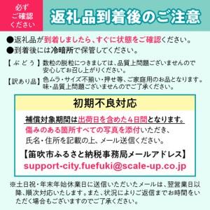 ふるさと納税 フルーツ定期便≪甲州六豊果≫全6回【3名〜4名様向け】 065-007_v2 山梨県笛吹市_3