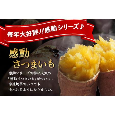 ふるさと納税 【冷凍焼芋】感動さつまいも 熟成紅はるか 500g×5パック FR-504 | サツマイモ 焼き芋 紅はるか べにはるか 熟成芋 長期熟.. 鹿児島県南大隅町の画像