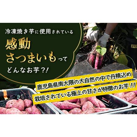 ふるさと納税 【冷凍焼芋】感動さつまいも 熟成紅はるか 500g×5パック FR-504 | サツマイモ 焼き芋 紅はるか べにはるか 熟成芋 長期熟.. 鹿児島県南大隅町の画像