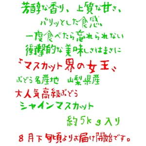 ふるさと納税 【2026年発送★先行予約】農園直送！濃厚シャインマスカット たっぷり約5kg※クール便配送 109-005 山梨県笛吹市の画像