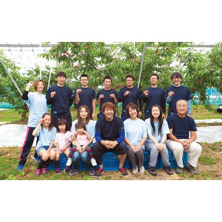 ふるさと納税 《先行予約・期間限定》山形県産 白桃 3kg(8〜14玉) 【品種おまかせ】期間限定 数量限定 もも モモ フルーツ 果物 くだもの F4A-01.. 山形県中山町の画像