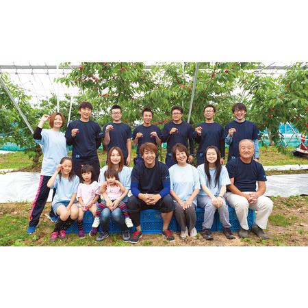 ふるさと納税 《先行予約・期間限定》山形県産 黄桃 秀2kg (5〜8玉) 【品種おまかせ】期間限定 数量限定 もも モモ フルーツ 果物 くだもの F4A-.. 山形県中山町の画像