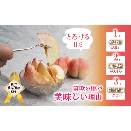 ふるさと納税 【2026年発送★先行予約】厳選！山梨県笛吹市産桃 約2kg（5〜8玉） 156-003 山梨県笛吹市の画像