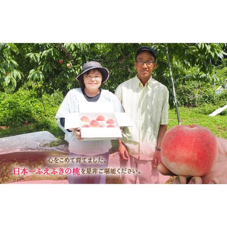 ふるさと納税 【2026年発送★先行予約】厳選！山梨県笛吹市産桃 約2kg（5〜8玉） 156-003 山梨県笛吹市の画像