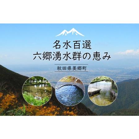 ふるさと納税 《定期便6ヶ月》ニテコ炭酸水 レモンフレーバー 300ml×6本セット あきた美郷づくり 秋田県美郷町_1