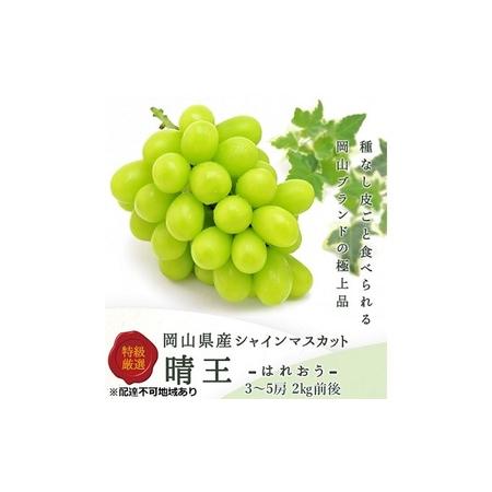 ふるさと納税 ぶどう 2026年 先行予約 シャイン マスカット 晴王 3〜5房 2kg前後 (10月上旬〜11月下旬発送分) ブドウ 葡萄 岡山県産 国産 フ.. 岡山県玉野市