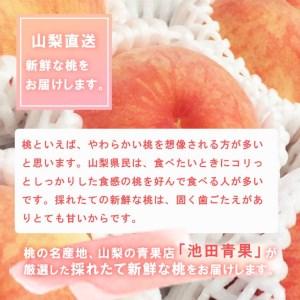 ふるさと納税 【2026年発送★先行予約】厳選!!池田青果の桃 2kg 5〜8玉 173-004 山梨県笛吹市の画像
