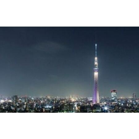 ふるさと納税 スカイツリー（R）ビューレストラン 簾【ディナーペア券】炭火窯焼フレンチ「魅惑の簾 炭火窯焼コース」＋東京スカイツリー（R）入.. 東京都墨田区 ふるさと納税 スカイツリー（R）ビューレストラン 簾【ディナーペア券】炭火窯焼フレンチ「魅惑の簾 炭火窯焼コース」＋東京スカイツリー（R）入.. 東京都墨田区