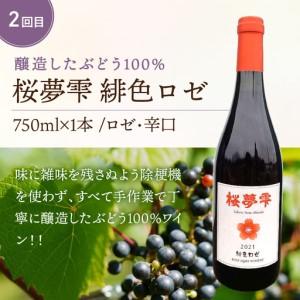 ふるさと納税 【3ヶ月定期便】こだわり地酒セット ( お酒 酒 地酒 ビール 地ビール ワイン ロゼワイン りんご 旭りんご シードル )【999-0271】 北海道北見市_2