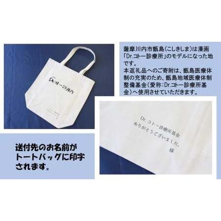 ふるさと納税 AS-2035 【ふるさと納税限定】「Dr.コトー診療所」デザイントートバッグ 〜旅のお供に最適〜 鹿児島県薩摩川内市の画像